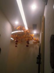 点击看大图 -芳朵美容养生SPA