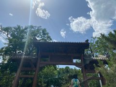 -阳台山自然风景区