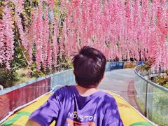 -十渡东湖港风景区