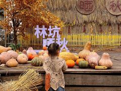 -林坑古村落