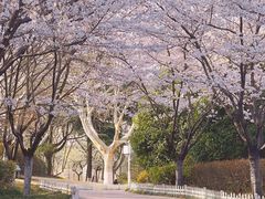 -云龙山