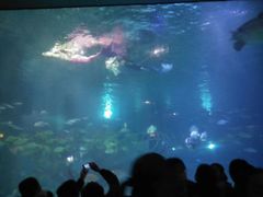 -福州罗源湾海洋世界旅游区