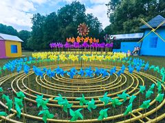 -上海共青森林公园