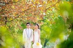 -维纳斯婚纱摄影(预约减现金)