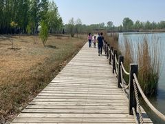 -野鸭湖国家湿地公园