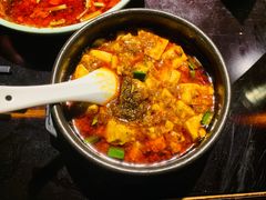 -陈麻婆豆腐总店