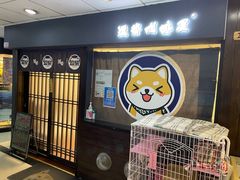 -逗柴咖啡屋·狗咖猫咖宠物桌游
