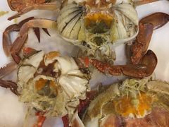 -北塘海鲜·天津菜(大光明桥旗舰店)