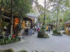 -青城甲(青城山店)