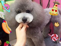 -爱宠屋pet shop·宠物洗澡·宠物美容