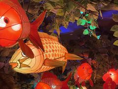 -沈阳海洋探索中心