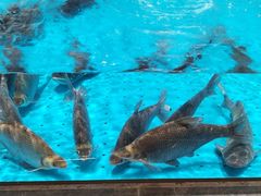 -艳阳天·非遗楚菜(武汉客厅店)