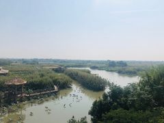 -下渚湖国家湿地公园科普馆