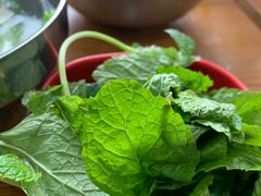 薄荷叶-攀枝花·任德琼·盐边羊肉米线