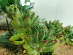-福州长乐国际机场