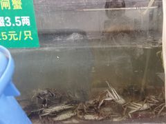 -七的湖·晚芳亭·阳澄湖农家菜·大闸蟹(莲花岛店)