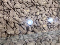 -刘艳明炒货(小心桥店)