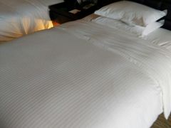 -上海浦东绿地铂骊酒店