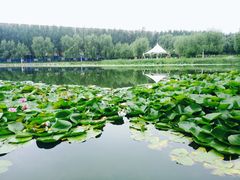 -吉林大学(前卫南区)
