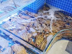 -77号渔船·蒸海鲜青岛菜(积米崖店)