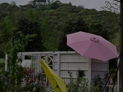 -苏州上方山国家森林公园