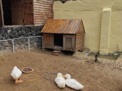 -HERRE·FARM 赫尔露营农场·团建聚会包场