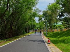 -观澜湖生态运动公社