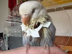 -雨林宠物医院 非犬猫异宠专科