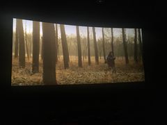 -武汉华夏国际影城(鲁广店)