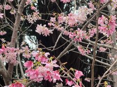 -乌山风景区