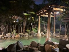 -张家港金凤凰度假村温泉