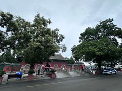 -真定郝家排骨(正定县总店)