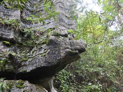 -梭布垭石林景区