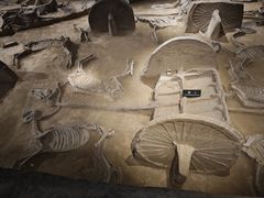 -洛阳周王城天子驾六博物馆