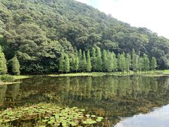-广州市石门国家森林公园