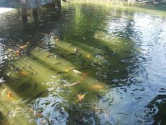 -珠海圆明新园
