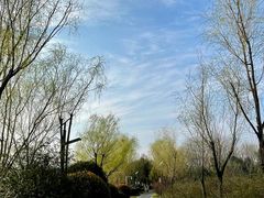 -大蜀山国家森林公园