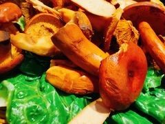 -滇野云南野生菌餐厅(陕西南路店)