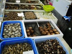 -南沙十九涌渔人码头-南门