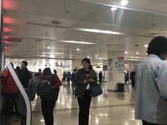 -首都医科大学附属北京潞河医院
