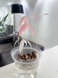 -春田皮肤管理中心品牌旗舰店