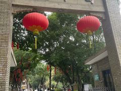 -荔湾湖公园