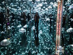 -杭州西湖星空魔幻城(星空艺术馆品牌旗舰店)