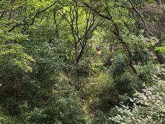 -句容茅山景区