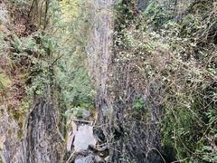 -鹿院坪生态旅游景区