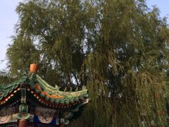 -卫鼎轩·家宴(水上公园店)
