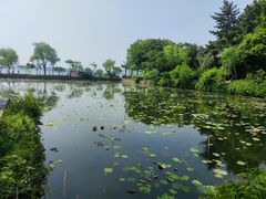 -无锡蠡湖国家湿地公园-蠡园