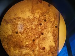 -瑞鹏宠物医院·爱宠堂·骨外专科(西荷分院)