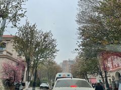 -天津五大道文化旅游区