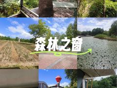-同里国家湿地公园